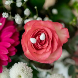 inssaisissable BO argent et lait maternel