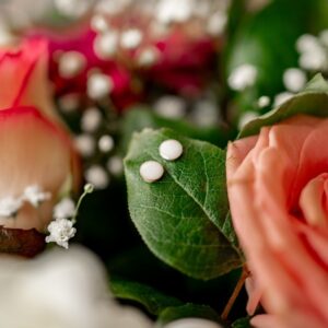 unique BO en GF et lait maternel