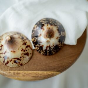 coquillage d'allaitement